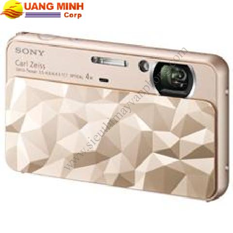 Máy ảnh Sony DSC-T110D