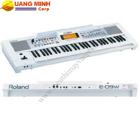 Đàn Organ Roland E-09W