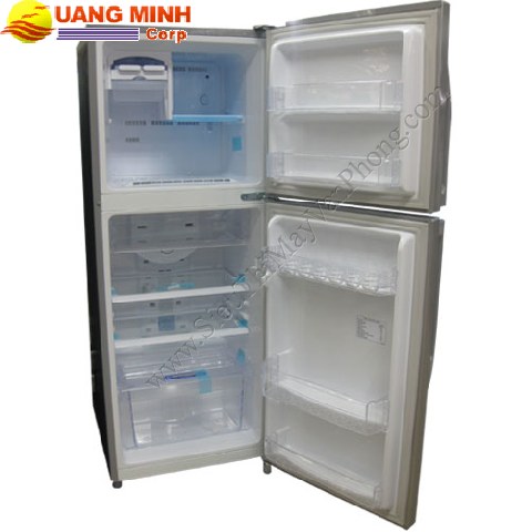 Tủ lạnh Samsung RT2ASHTS1