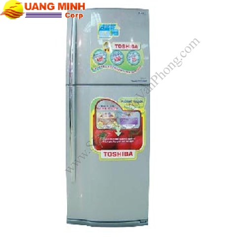 Tủ lạnh Toshiba RG46FVPDGB - 373lít