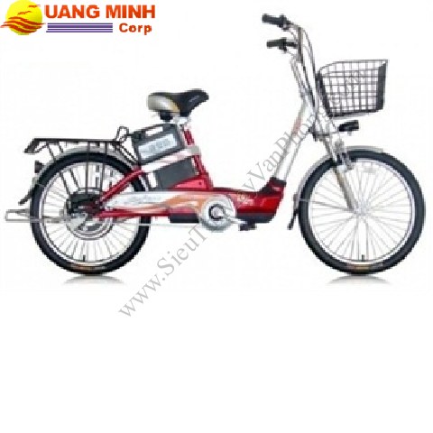 Xe đạp điện Giant 206T